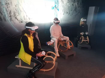 Die Virtual Realty Schlitten-WM